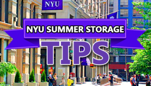 Door To Dorm, NYU, Summer Storage, Storage Tips, College Storage