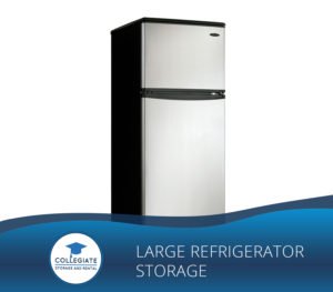 Large Refrigerator Storage - New York